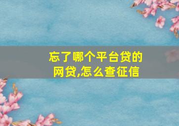 忘了哪个平台贷的网贷,怎么查征信