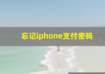 忘记iphone支付密码