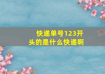 快递单号123开头的是什么快递啊