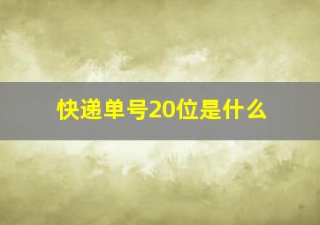 快递单号20位是什么