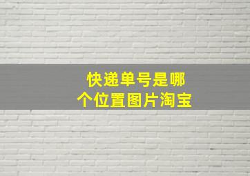 快递单号是哪个位置图片淘宝