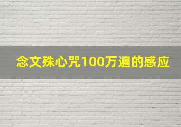 念文殊心咒100万遍的感应