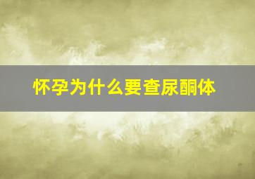 怀孕为什么要查尿酮体