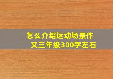 怎么介绍运动场景作文三年级300字左右