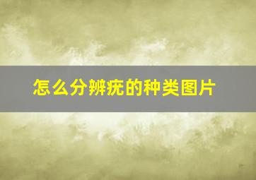 怎么分辨疣的种类图片