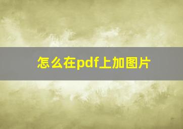 怎么在pdf上加图片