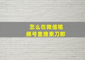 怎么在微信视频号里搜索刀郎