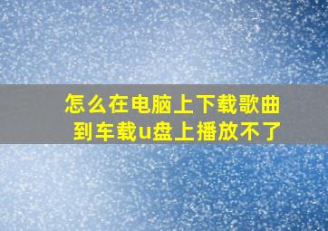 怎么在电脑上下载歌曲到车载u盘上播放不了