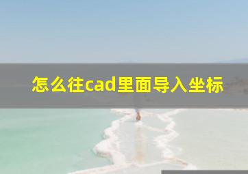 怎么往cad里面导入坐标