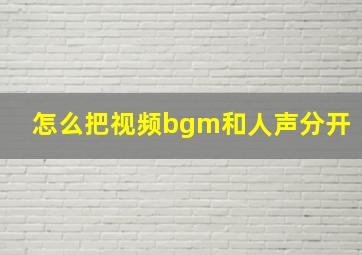 怎么把视频bgm和人声分开