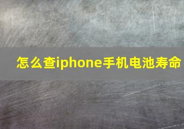 怎么查iphone手机电池寿命