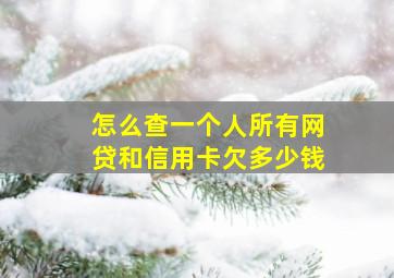 怎么查一个人所有网贷和信用卡欠多少钱