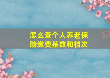 怎么查个人养老保险缴费基数和档次