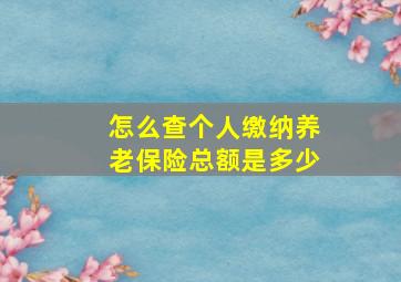 怎么查个人缴纳养老保险总额是多少