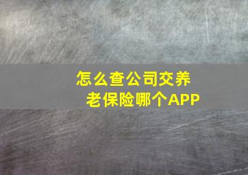 怎么查公司交养老保险哪个APP