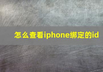 怎么查看iphone绑定的id