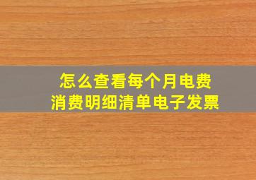 怎么查看每个月电费消费明细清单电子发票