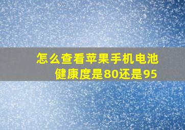 怎么查看苹果手机电池健康度是80还是95