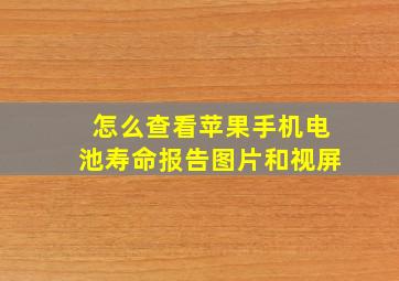 怎么查看苹果手机电池寿命报告图片和视屏