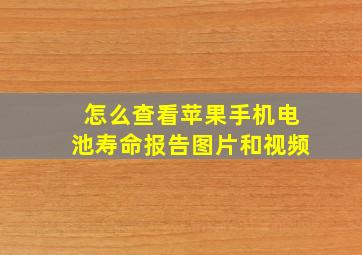 怎么查看苹果手机电池寿命报告图片和视频