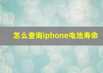 怎么查询iphone电池寿命