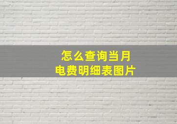 怎么查询当月电费明细表图片