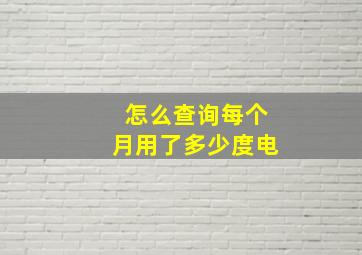 怎么查询每个月用了多少度电