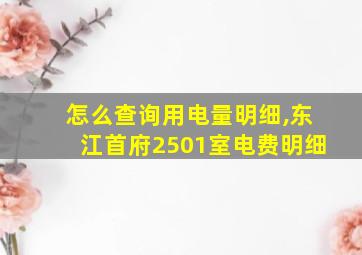 怎么查询用电量明细,东江首府2501室电费明细