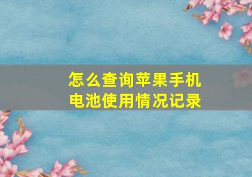 怎么查询苹果手机电池使用情况记录