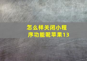 怎么样关闭小程序功能呢苹果13