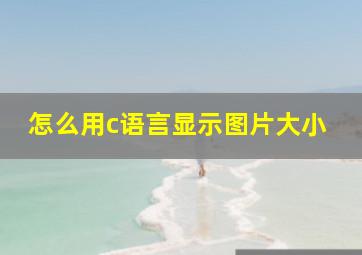 怎么用c语言显示图片大小