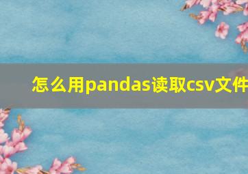 怎么用pandas读取csv文件