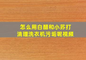 怎么用白醋和小苏打清理洗衣机污垢呢视频