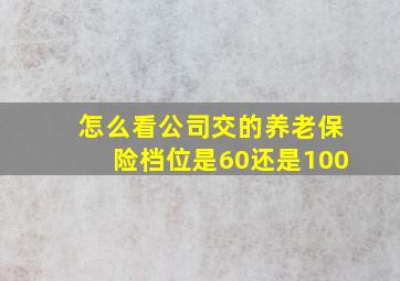 怎么看公司交的养老保险档位是60还是100