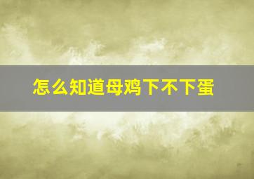 怎么知道母鸡下不下蛋