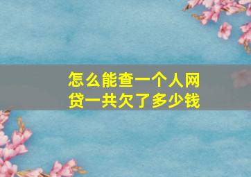 怎么能查一个人网贷一共欠了多少钱