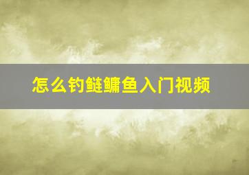 怎么钓鲢鳙鱼入门视频