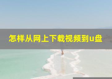 怎样从网上下载视频到u盘