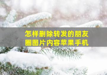 怎样删除转发的朋友圈图片内容苹果手机