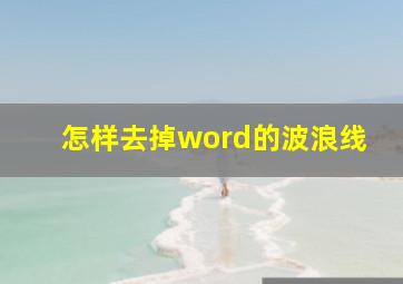 怎样去掉word的波浪线