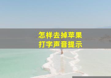 怎样去掉苹果打字声音提示