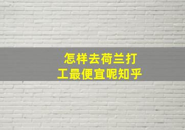 怎样去荷兰打工最便宜呢知乎