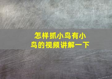 怎样抓小鸟有小鸟的视频讲解一下