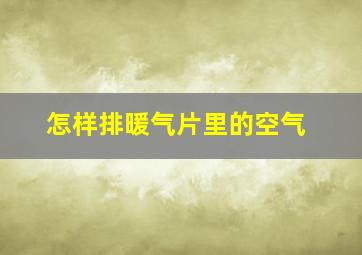 怎样排暖气片里的空气