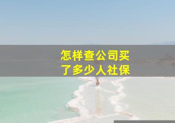 怎样查公司买了多少人社保