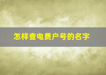 怎样查电费户号的名字