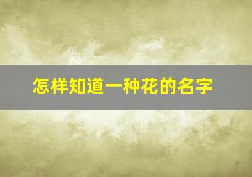 怎样知道一种花的名字