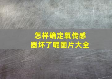 怎样确定氧传感器坏了呢图片大全