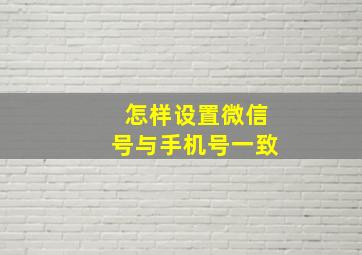 怎样设置微信号与手机号一致