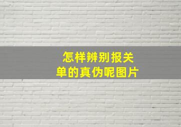 怎样辨别报关单的真伪呢图片